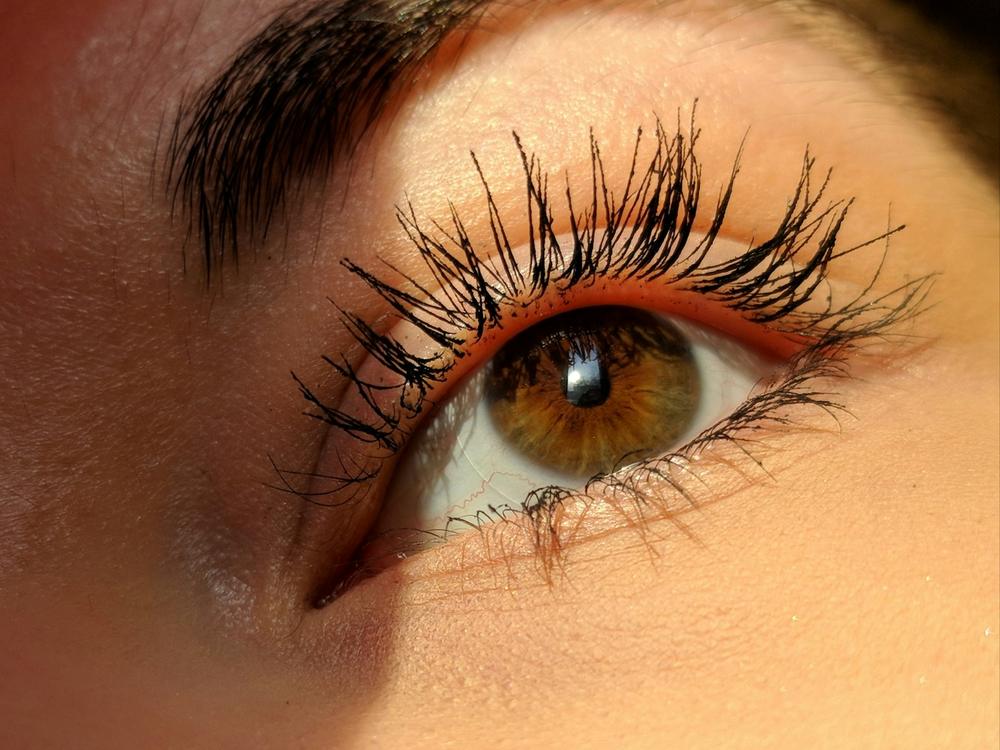 Lashes & Brows